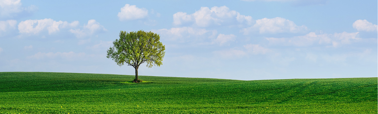 BCF紡絲試驗(yàn)機(jī)，BCF紡絲試驗(yàn)機(jī)那家生產(chǎn)，BCF紡絲試驗(yàn)機(jī)優(yōu)質(zhì)生產(chǎn)商，山東BCF紡絲試驗(yàn)機(jī)廠家， 淄博方辰機(jī)械科技有限公司